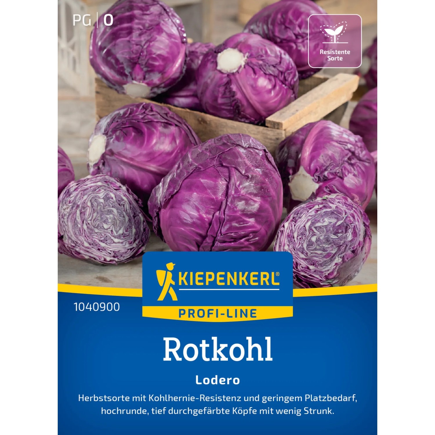 Kiepenkerl Rotkohl "Lodero" F1-Hybride