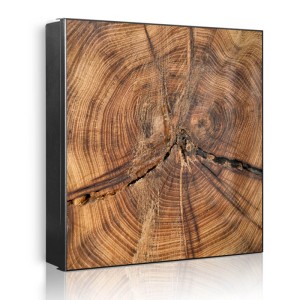 Banjado Schlüsselkasten aus schwarzem Metall, 30x30cm, mit Jahresringe Motiv. Ideal für 32 Schlüssel.