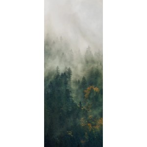 Komar Fototapete Vlies: Nebelverhangener Wald mit grünen und herbstlichen Bäumen, 100x250 cm.