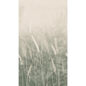 Schöner Wohnen Digitaldruck-Tapete Whispering Meadow 280 cm x 159 cm Grün FSC®
