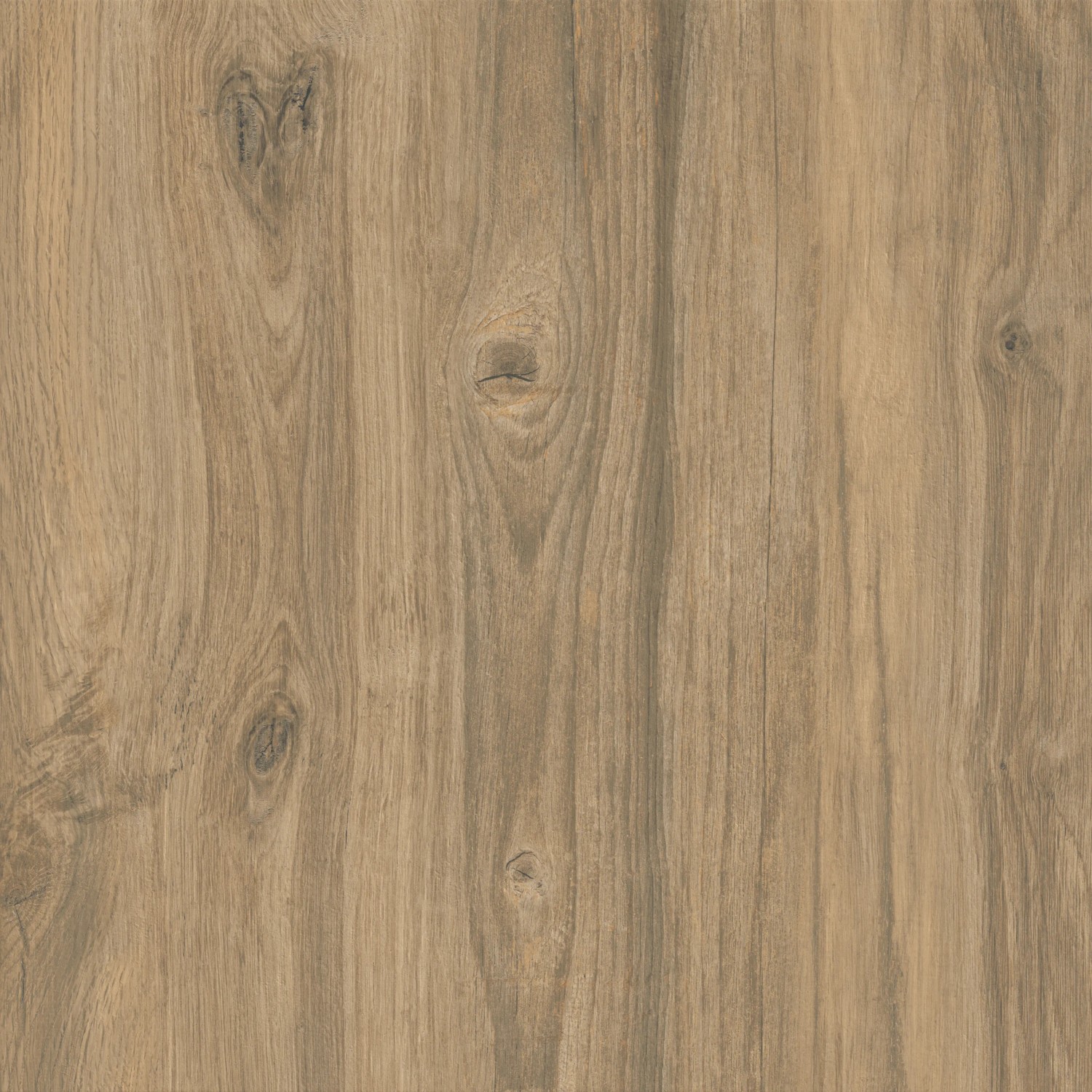 Cersanit Terrassenplatte Feinsteinzeug Wood Moments  Hellbraun 59,3 cm x 59,3 cm