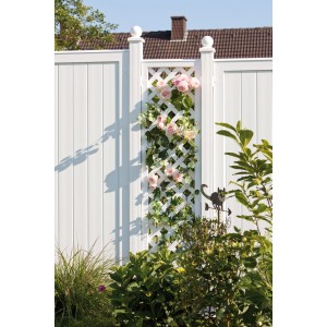 Weißer Zaunpfosten Longlife (240 cm) mit Rankgitter und Rosen, Teil einer Zaunanlage.