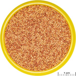 Jbl Pronovo Color Grano S Fischfutter-Granulat im gelben Behälter, Nahaufnahme.