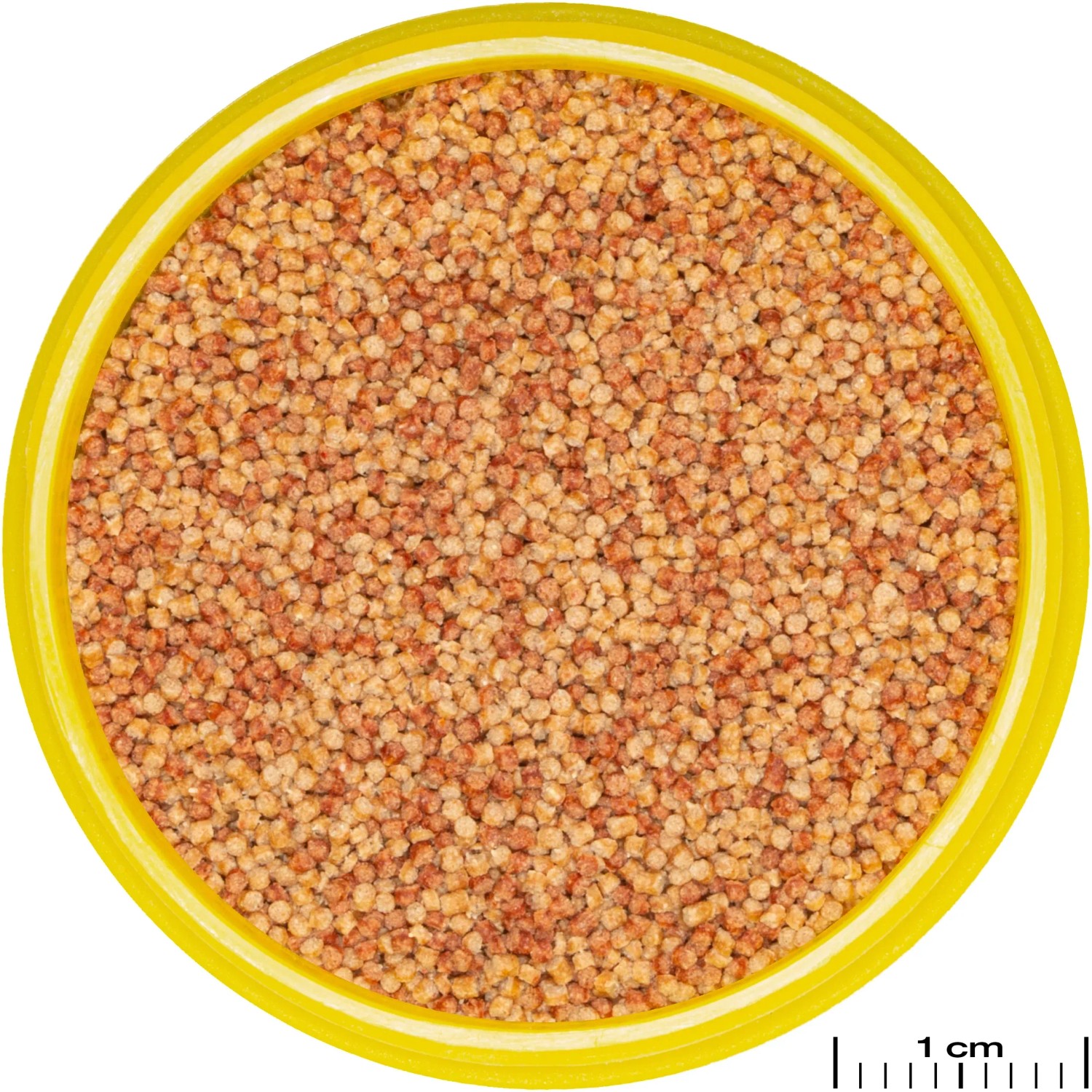 Jbl Pronovo Color Grano S Fischfutter-Granulat im gelben Behälter, Nahaufnahme.