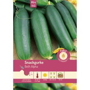 Frische, grüne Snackgurken der Sorte Beth Alpha, kurz und glattschalig. Ideal für den Garten.