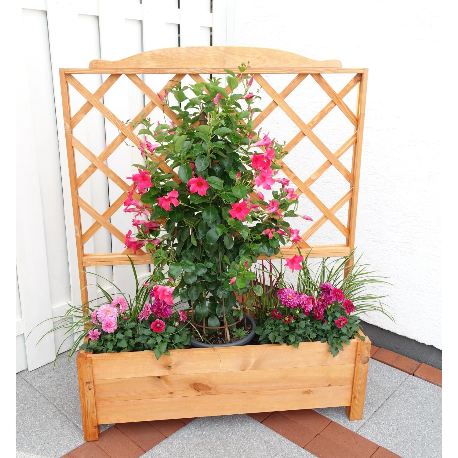 Promadino Pflanzkasten mit Rankgitter Botanica 110 x 32 x 140 cm kaufen bei  OBI