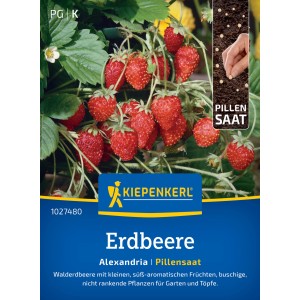 Kiepenkerl Walderdbeere Alexandria Pillensaat: Packung mit Erdbeerpflanze und Früchten.