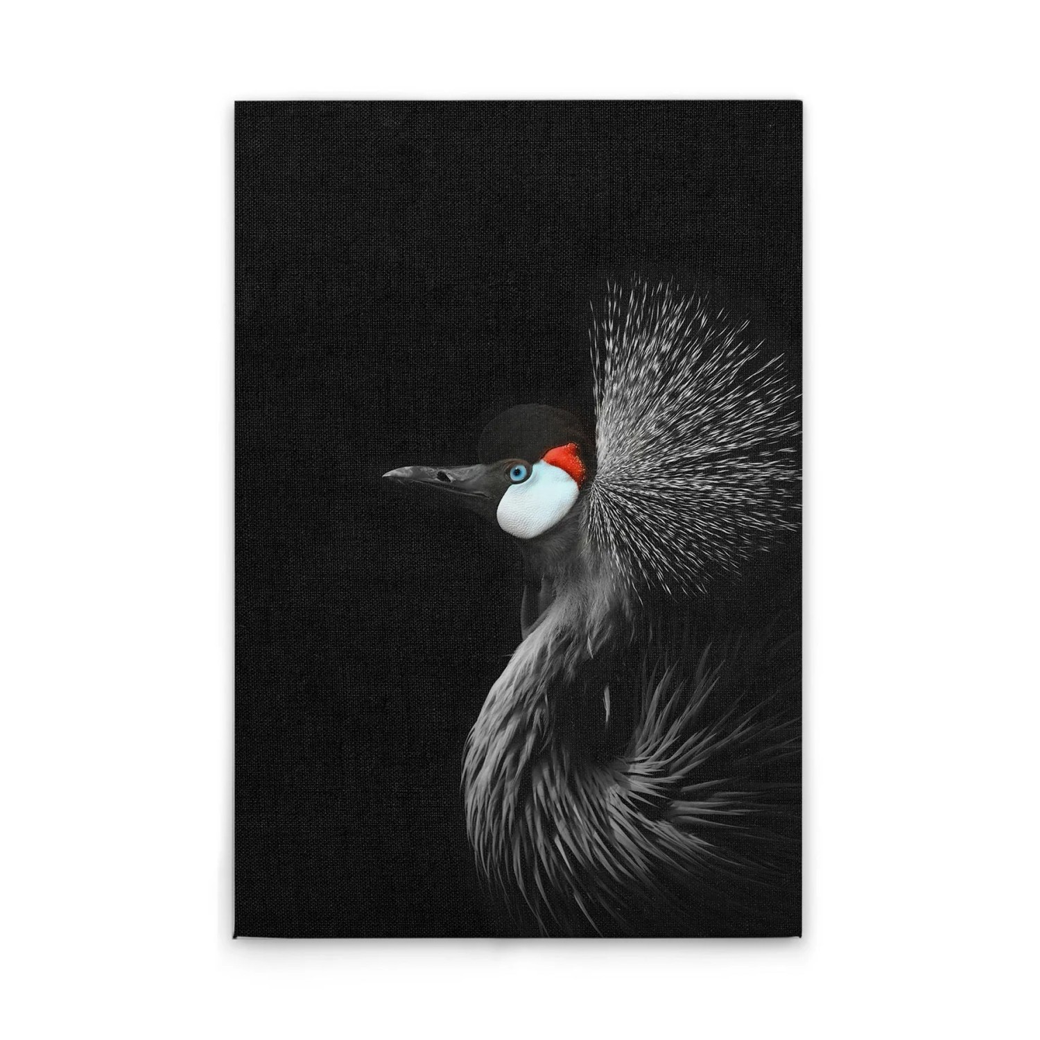 Tadessi Leinwandbild - M1-No.51104 - Tiere Kranich - 60 x 90 cm - Querformat