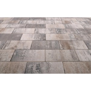 EHL Platte Artano 40 cm x 20 cm x 4 cm Muschelkalk