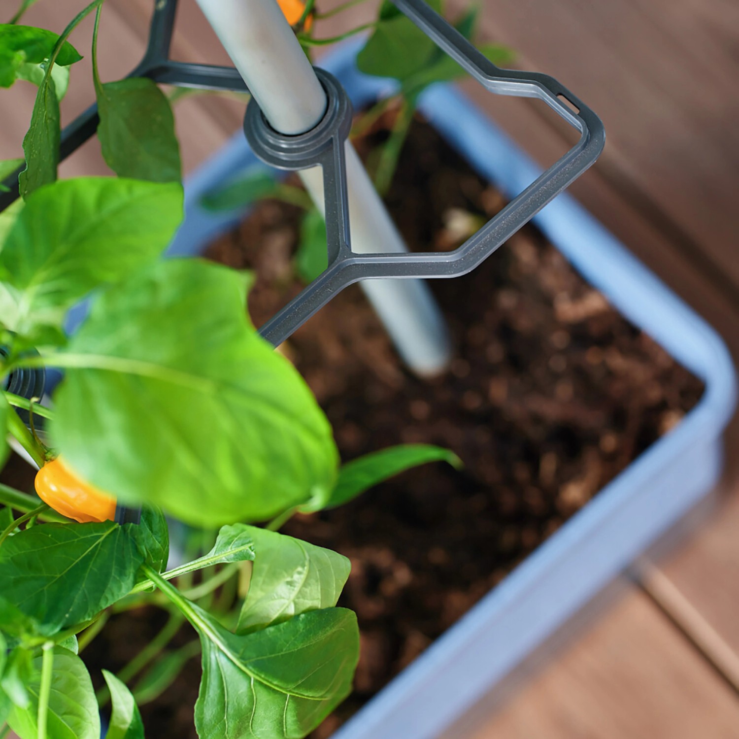 Gusta Garden Anzuchtgefäß Charly Chili 10 L blau kaufen bei OBI