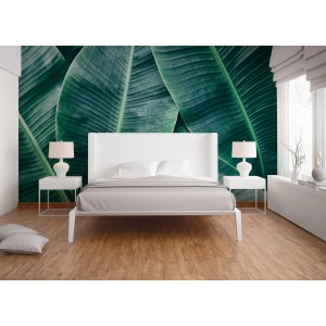 Fototapete mit grünen Palmenblättern im Schlafzimmer, 3,50x2,55m.
