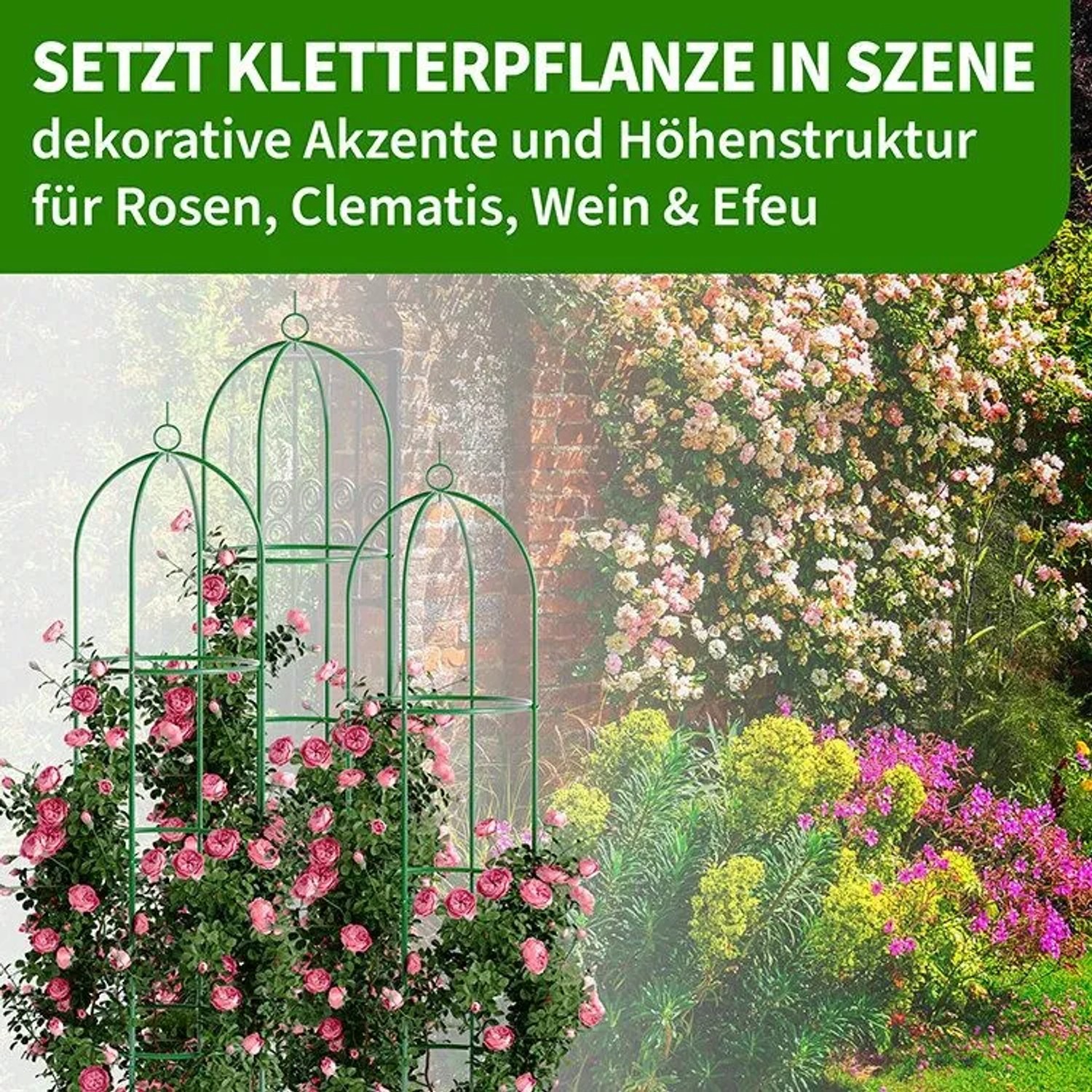 Grüne Metall-Rankhilfen (Obelisken) mit blühenden Rosen im Garten. 4er Set Kletterhilfen für Rosen, Clematis.