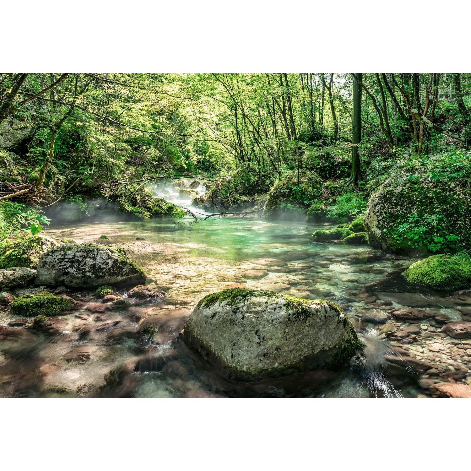 Komar Tapete Riverbed 368 x 254 cm