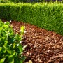 Nahaufnahme von grober Floragard Pinienrinde (25-40mm) als Bodenabdeckung im Garten.