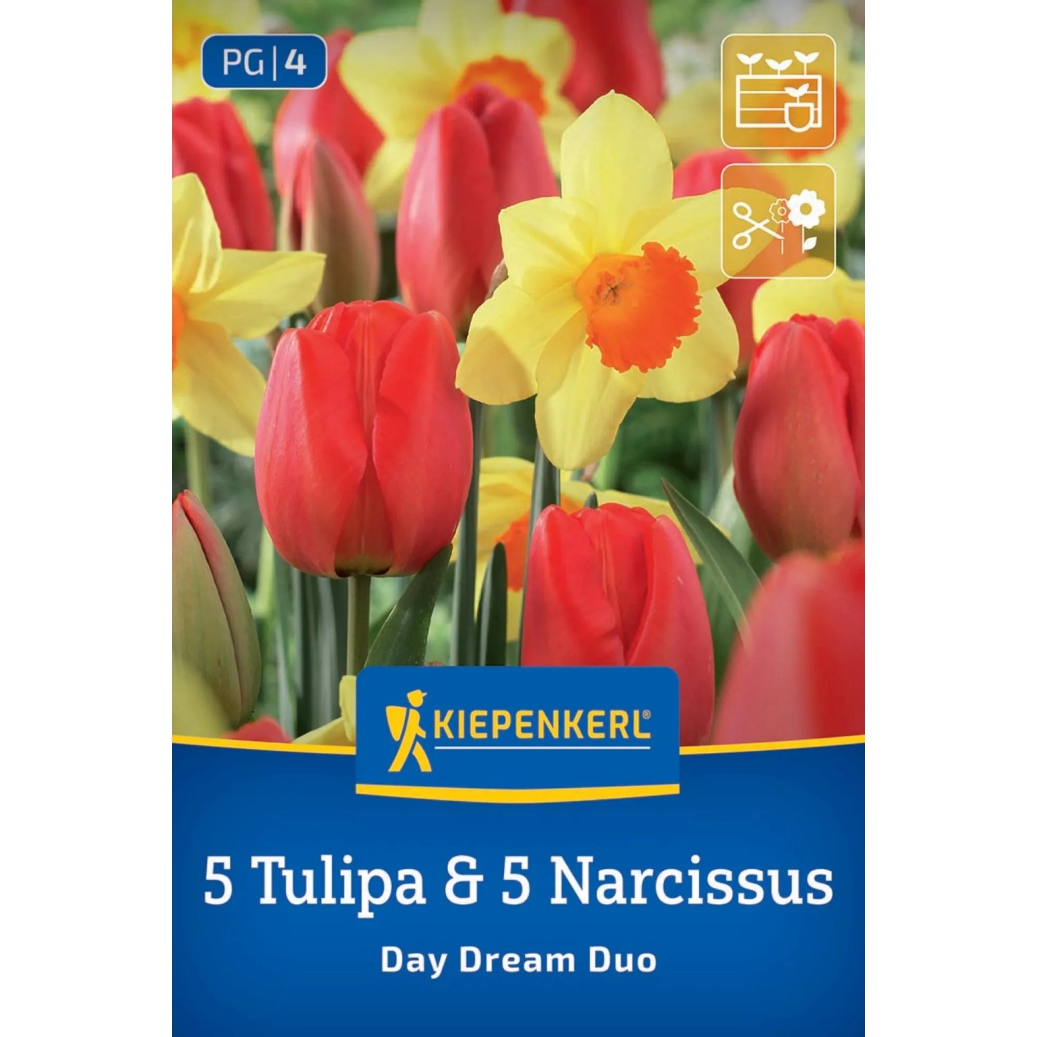 Kiepenkerl Blumenzwiebel Duo-Mix Day Dream 10 Stück