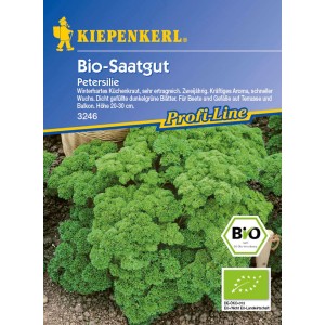 Kiepenkerl Petersilie Mooskrause 2 Grandeur Samenpackung mit grüner, krauser Petersilie.