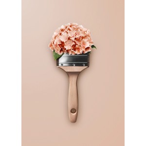 Pinsel mit Hortensienblüten, Schöner Wohnen Trendfarbe. Matte Wandfarbe in Rosa.