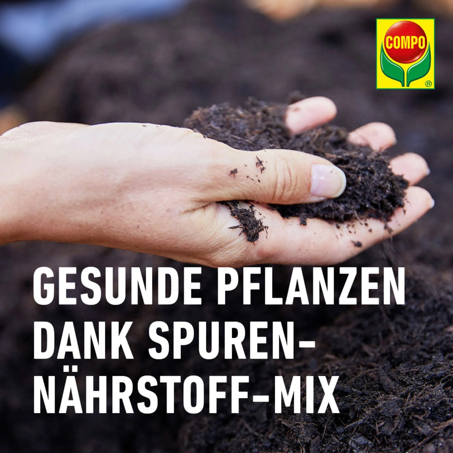 Compo Sana Balkon- und Kübelpflanzenerde 1 x 70 l_11