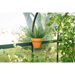 Pergart Pflanzentopfhalter 14 cm, schwarz, mit Topf im Gewächshaus.