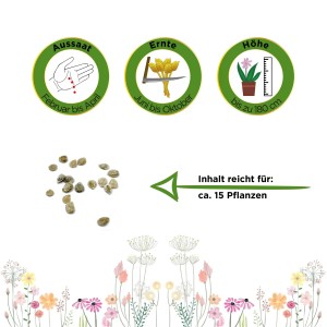 Samen der Fleischtomate Oxheart Ochsenherz, Anbauhinweise und Illustrationen.