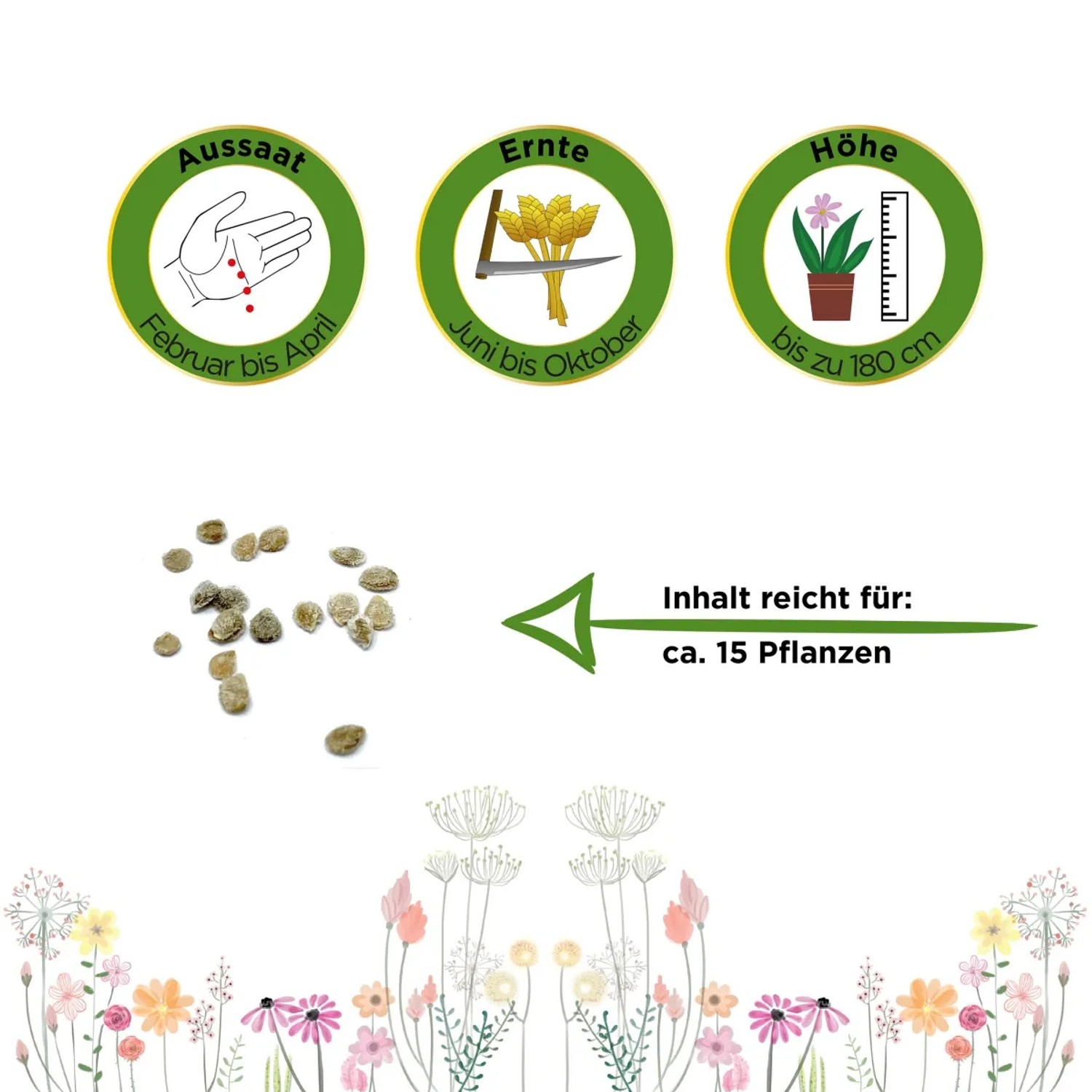 Samen der Fleischtomate Oxheart Ochsenherz, Anbauhinweise und Illustrationen.