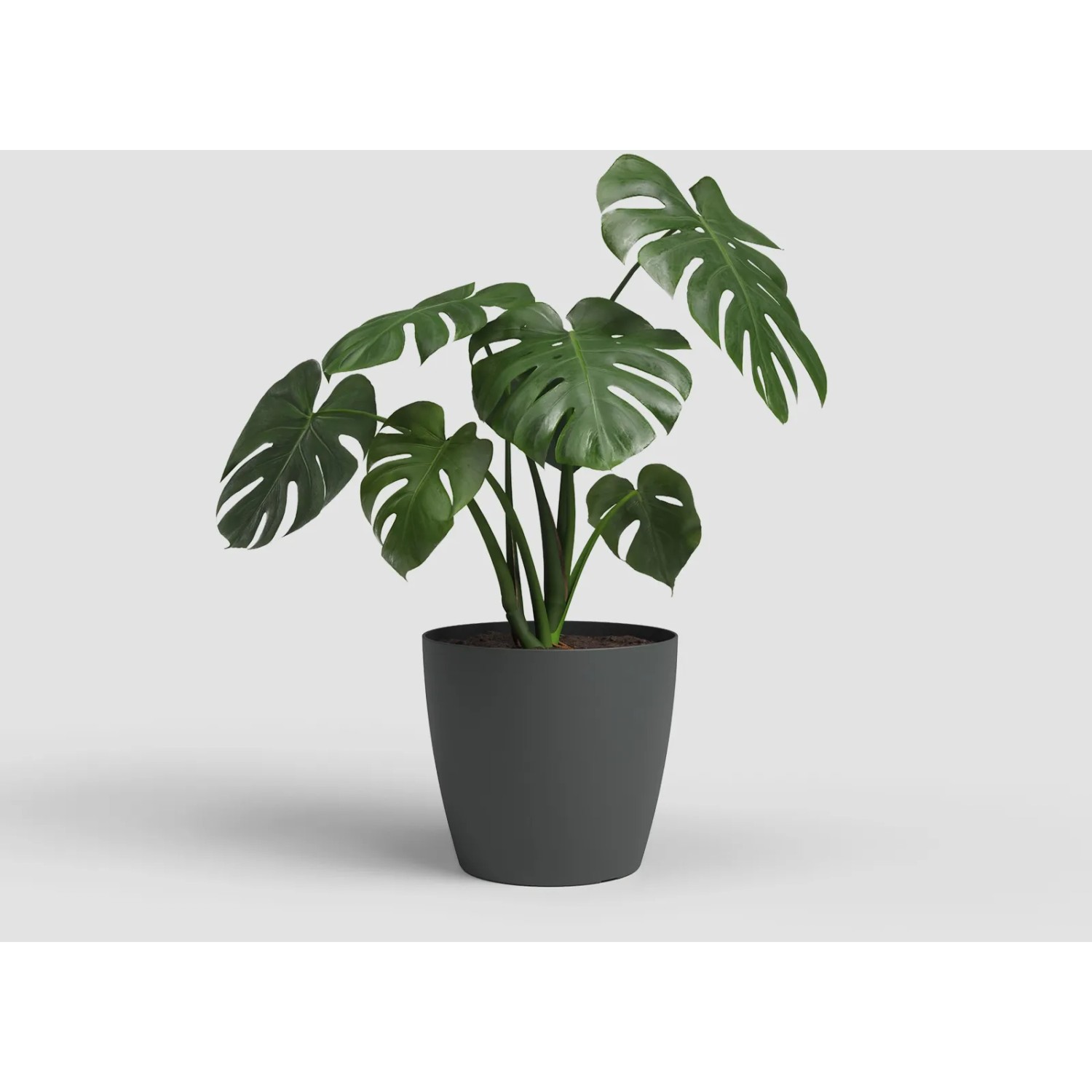 SAN REMO Blumentopf – 30 Cm, Dunkelrot | Modernes Design Für Drinnen & Draußen