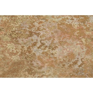 Erismann Fototapete Guido Maria Kretschmer Microscope Gold, abstraktes Flechten- und Moosdesign.