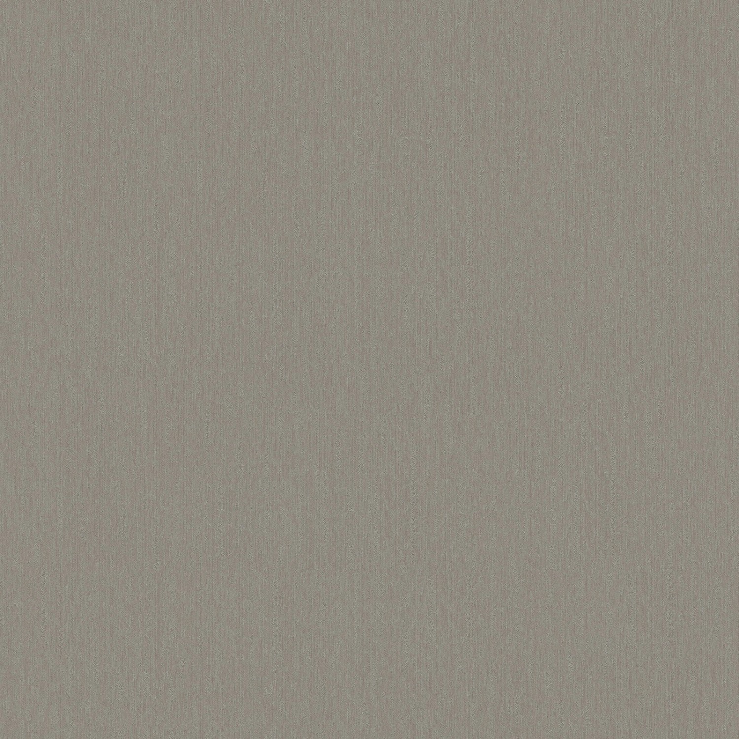 Bricoflor Einfarbige Vliestapete in Taupe Grau Moderne Vlies Unitapete Schlicht für Arbeitszimmer und Esszimmer Vlies Wandtapete mit Vinyl Dezent