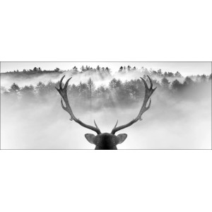 Pro Art Dekopanel "King Of The Forest": Hirsch vor nebligem Wald, 120x50 cm.
