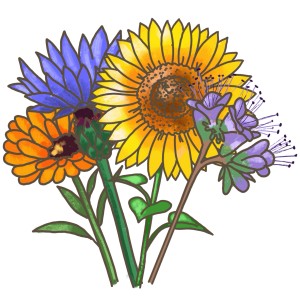 Illustration eines Blu Bienenweide Mix, Topf-Ø ca. 12 cm, mit Sonnenblume, Kornblume, Ringelblume und Phacelia.