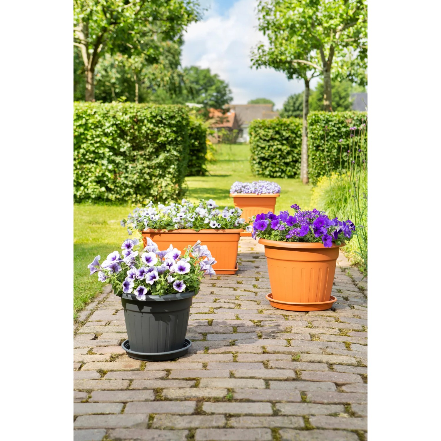 Florus Pflanztöpfe Sienna in Terrakotta und Anthrazit mit bunten Blumen auf einer Terrasse.