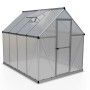 CANOPIA Gewächshaus Silber, 4,6 m² mit Fundamentrahmen. Garten Gewächshaus mit Tür und Dachfenster.