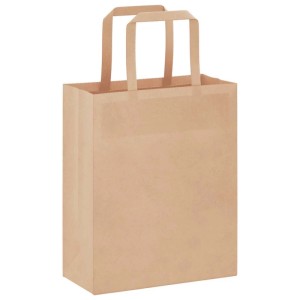vidaXL Papiertragetaschen 50 Stk mit Henkeln Braun 18x8x22 cm 4101796