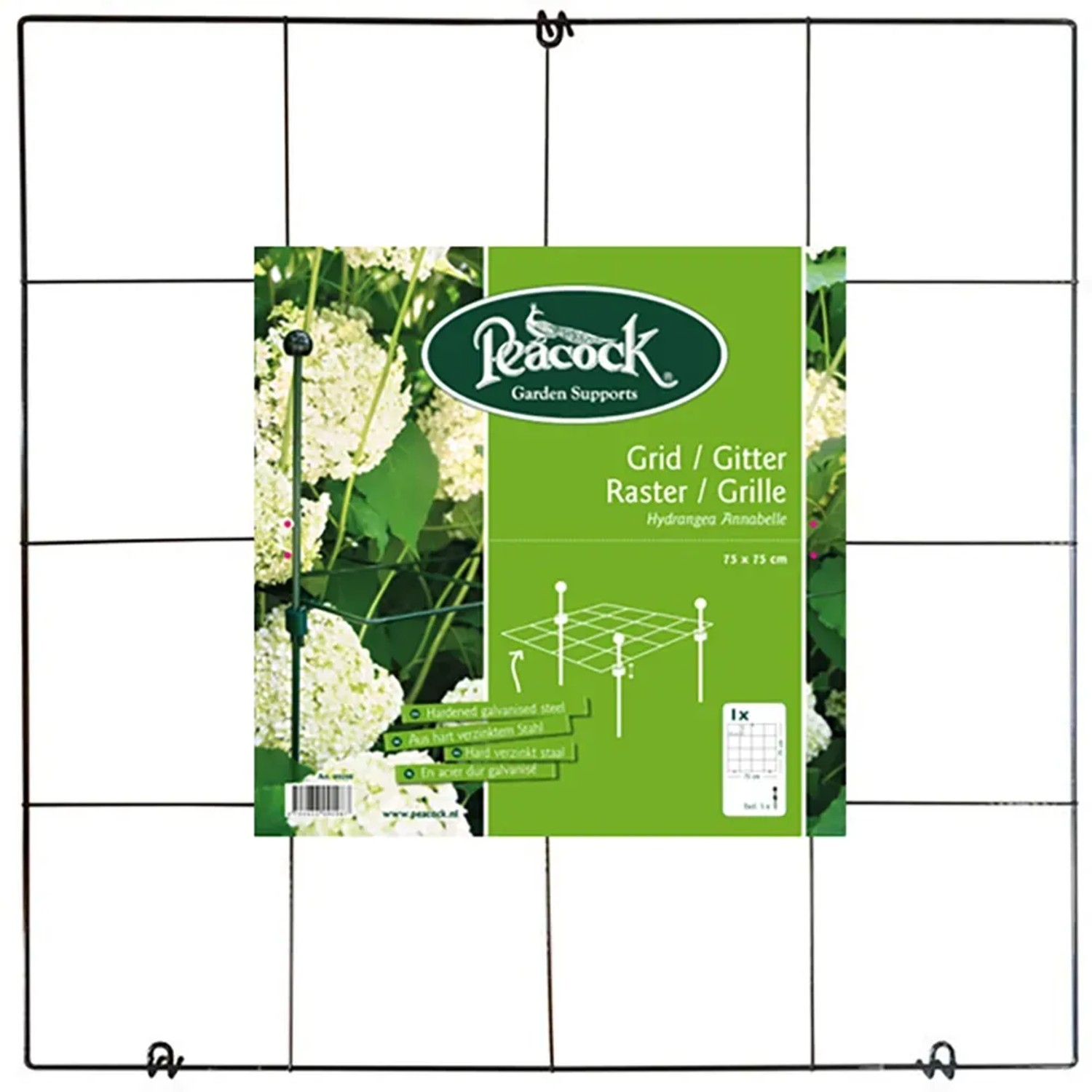 Peacock Rankgitter Annabelle 75 cm Quadrat Grün