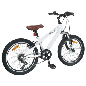 vidaXL Mountainbike 20 Zoll 6-Gang für Kinder 5-8 Jahren Weiß 42009740