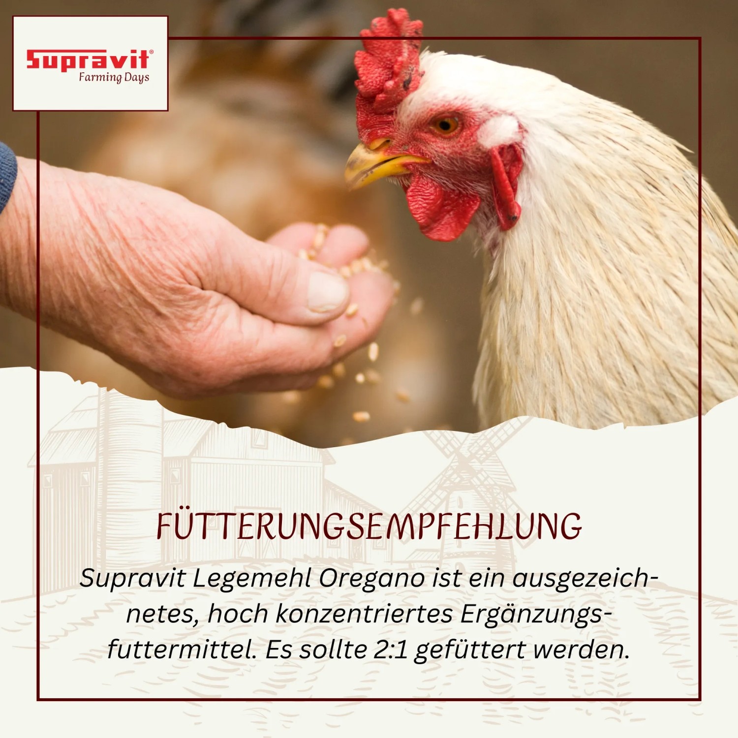 Supravit Legemehl für Hühner Geflügel_6