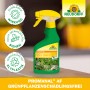 Neudorff Promanal AF Grünpflanzen Schädlingsfrei, 250ml Sprühflasche zur Schädlingsbekämpfung an Zierpflanzen.