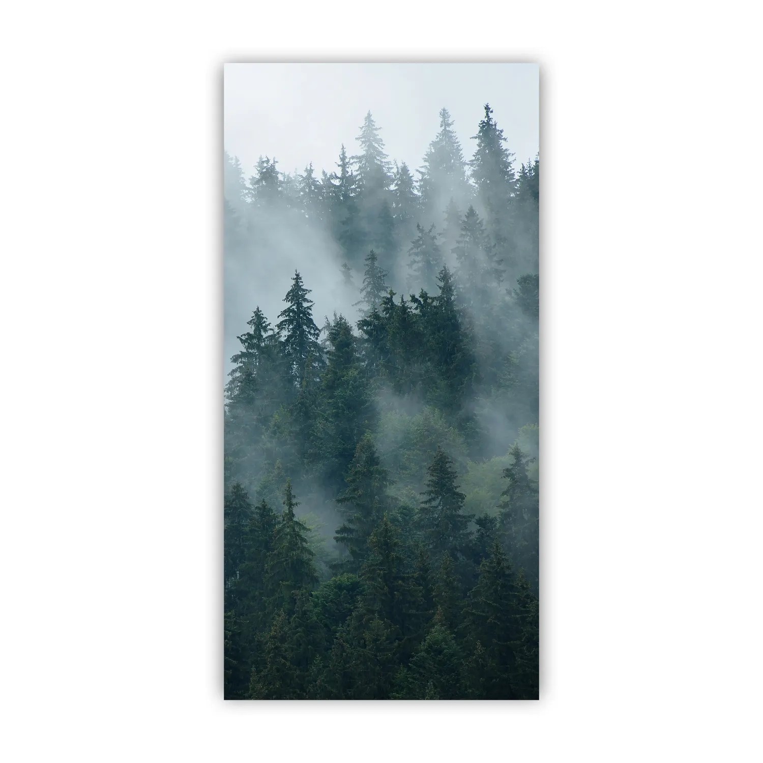 Walllux Duschrückwand Tannenwald Alu-Verbund 3 mm 125 x 255 cm