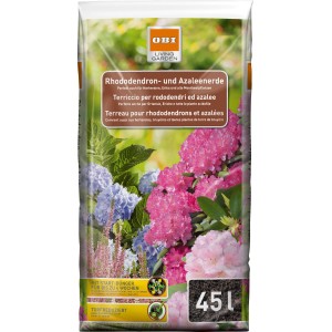 Rhododendronerde kaufen bei OBI