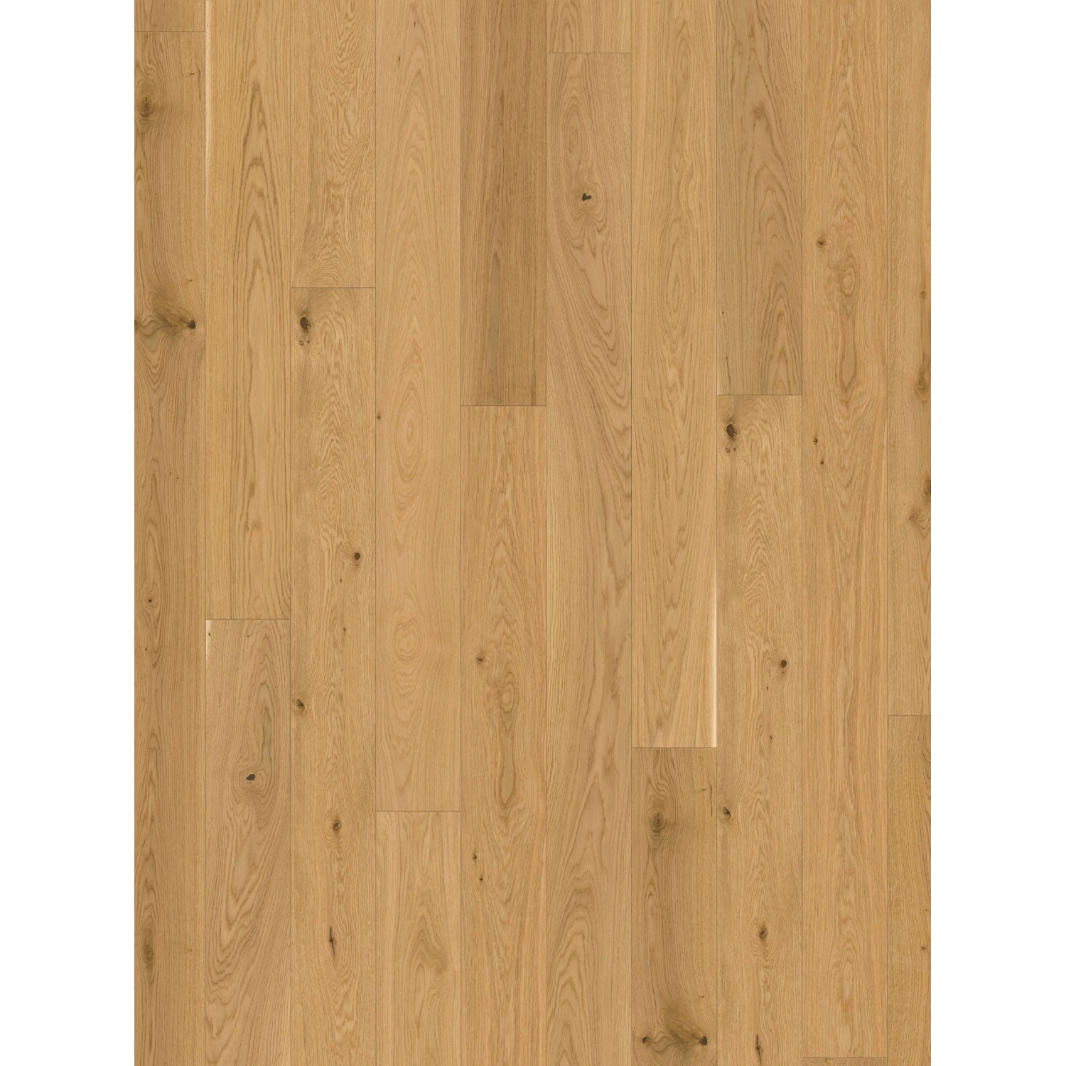 Parador Parkettmuster Trendtime 4 Living Eiche Molvina Natur Lackiert Matt