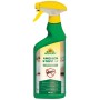 Neudorff Ameisen-Stopp AF Spray 500ml zur Ameisenbekämpfung im Haus und Garten.
