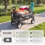 Tectake Bollerwagen Leon Faltbar Mit Bremsen und Gummierten Kunststoffrädern  91 x 53 50 x 101 cm Grau_2