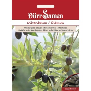 Dürr Samen Olivenbaum Saatgut Packung: Olivenzweig mit blau-grünen Blättern, reifenden Oliven und Samenansicht.