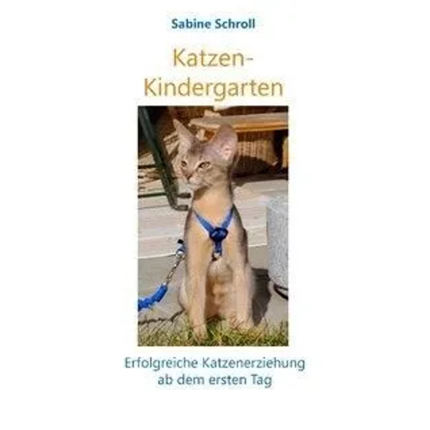 Katzen-Kindergarten