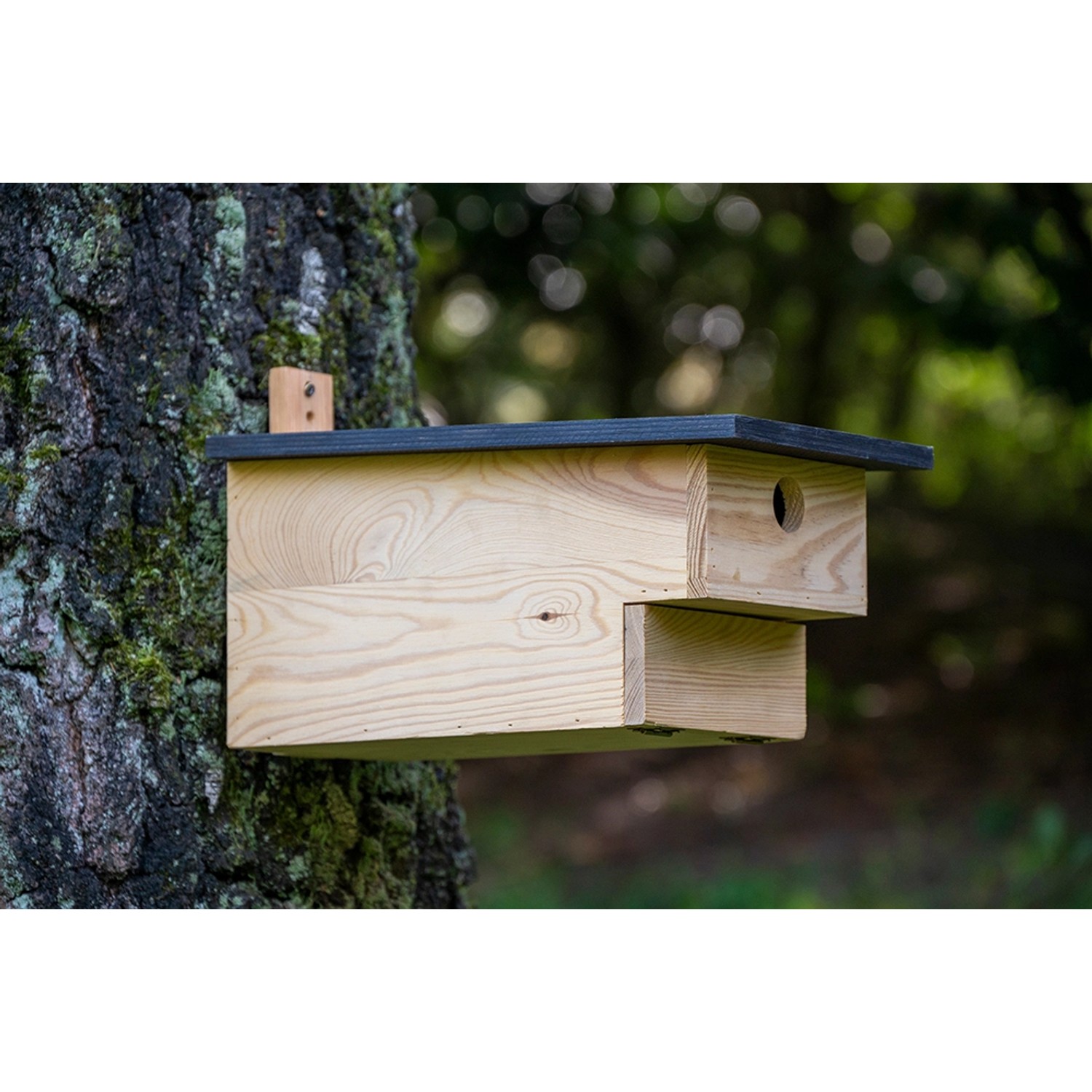 Holz Nistkasten für Höhlenbrüter am Baum, Kiefer FSC®