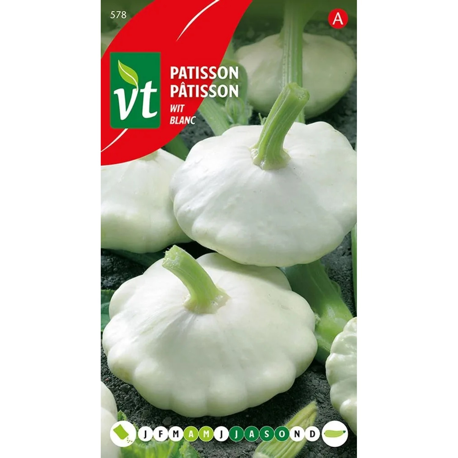 Pastinake Saatgut ca. 1,5 g Ballaststoffreich