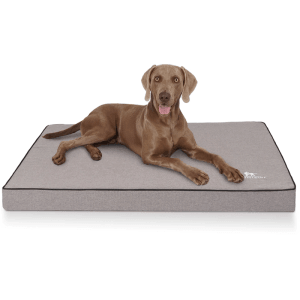 Graue Knuffelwuff Hundematte Nantucket XL mit Hund. Orthopädische Velours Hundedecke, 100x70cm.