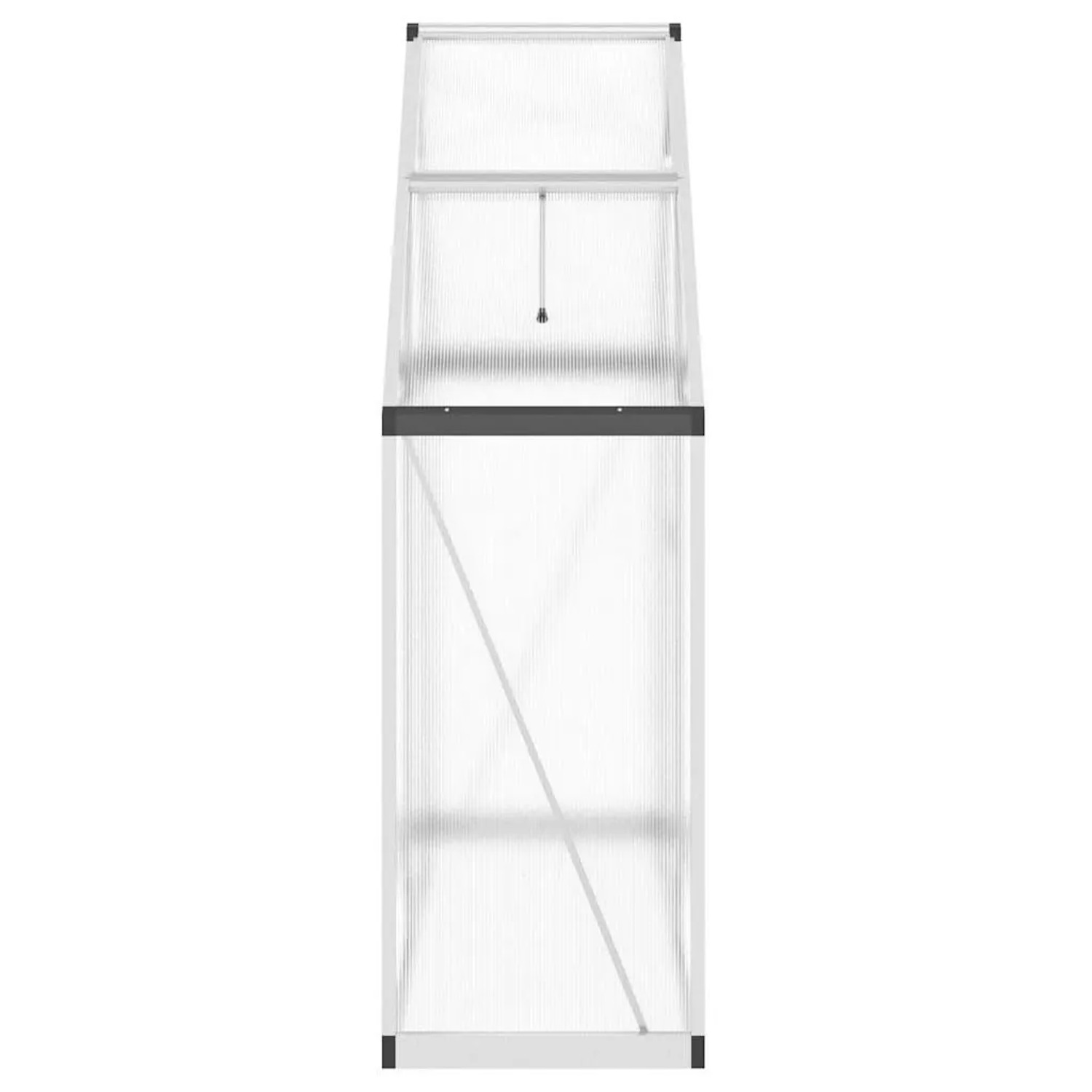 vidaXL Gewächshaus mit Fundamentrahmen Silbern 169x58x195cm Aluminimum 4005816_4
