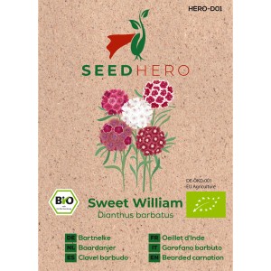 Seedhero BIO Bartnelke Sweet William Samen für ca. 100 Pflanzen.