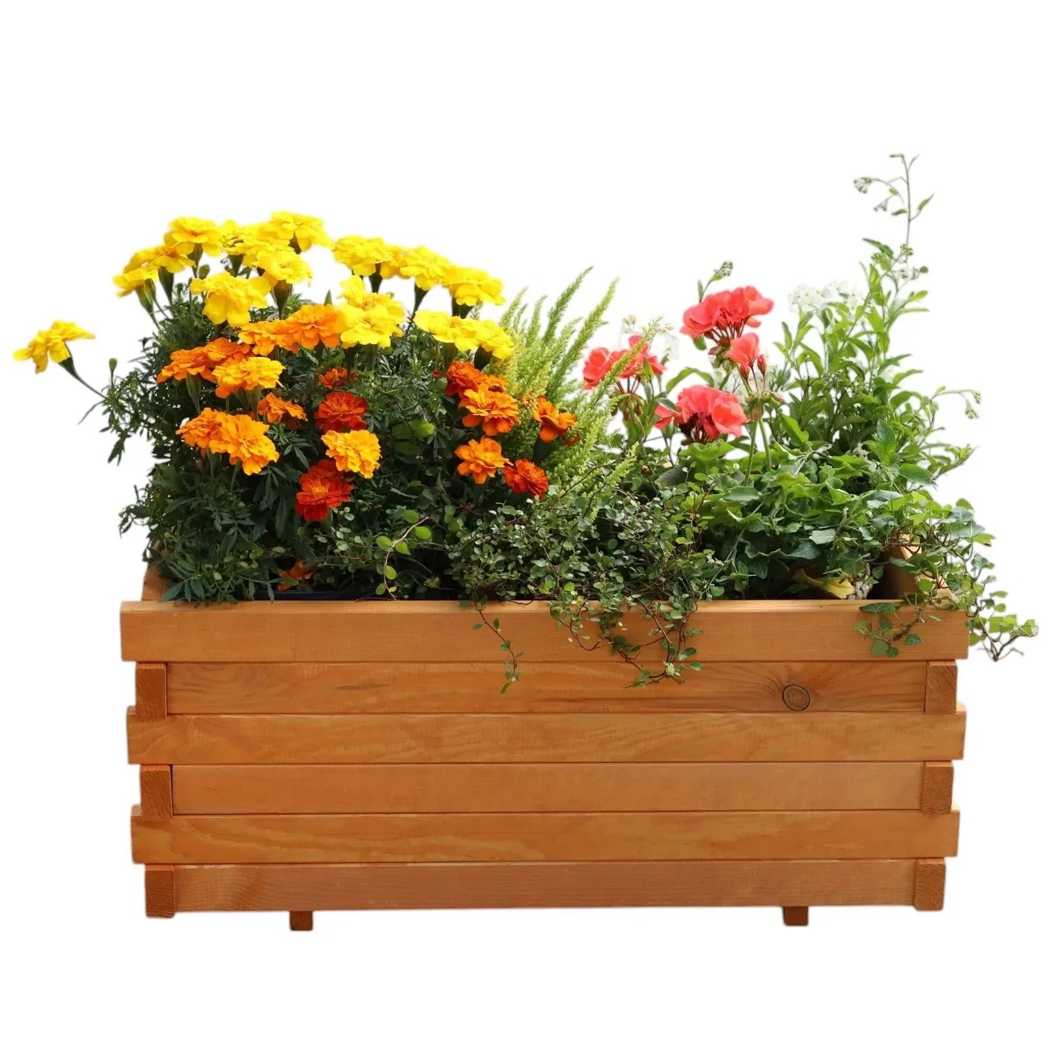 Holz Pflanzkasten Lucca, bepflanzt mit gelben und orangen Blumen, ideal für Balkon und Terrasse.